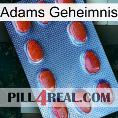 Adams Secret 06